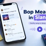 bop meaning in slang